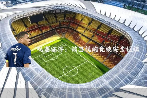 观赛证件:被忽视的竞技安全枢纽